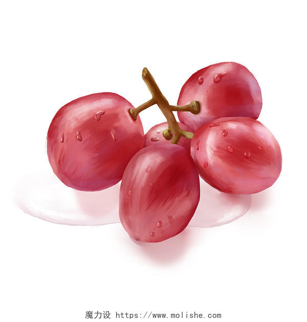 一支葡萄手绘水果宣传海报PNG素材葡萄写实水果